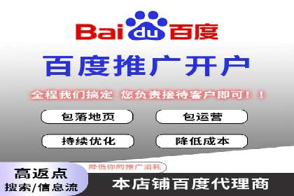 百度移动端应用推广策略探讨